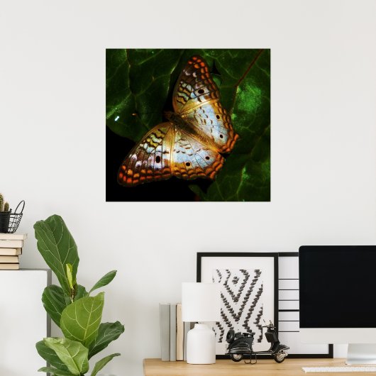 vlindervlinder poster (Thuiskantoor)