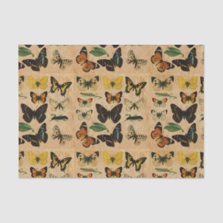 vlindervlinderontvlechting tissuepapier