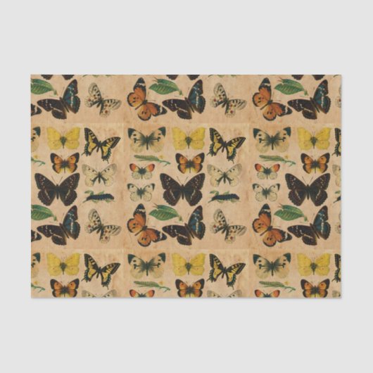 vlindervlinderontvlechting tissuepapier (Voorkant)