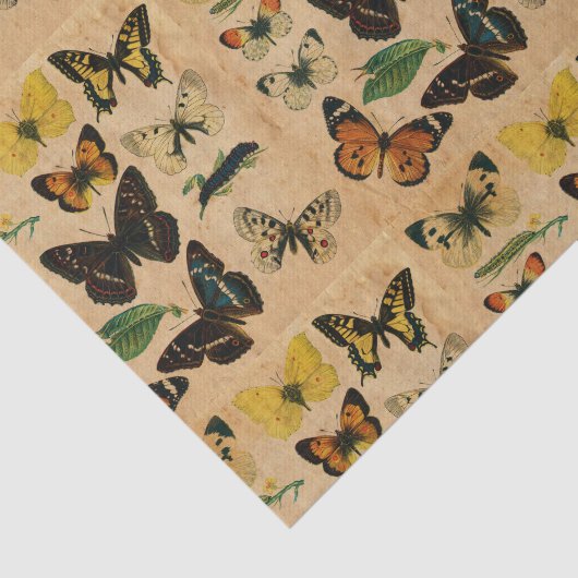 vlindervlinderontvlechting tissuepapier (Detail)