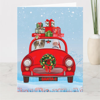 Vlindervlindhond in auto met kerstman kaart