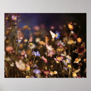 Vlindervlucht in wilde bloemenweide bij schemering poster