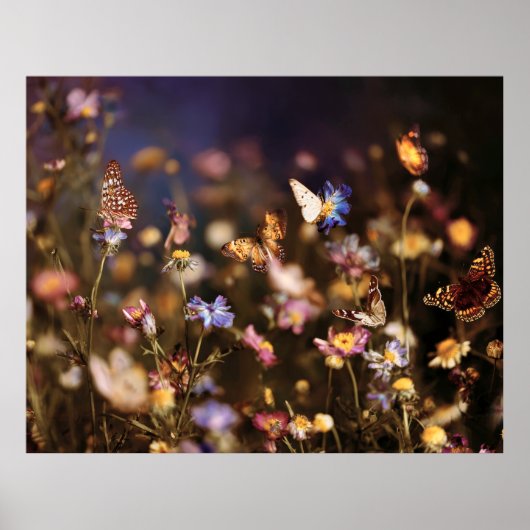 Vlindervlucht in wilde bloemenweide bij schemering poster (Voorkant)