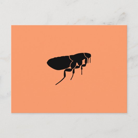 Vlo Briefkaart (Voorkant)