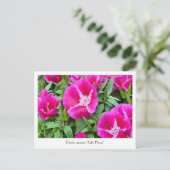 Vloeibaar Briefkaart voor de slacht of voor de str (Staand voorkant)