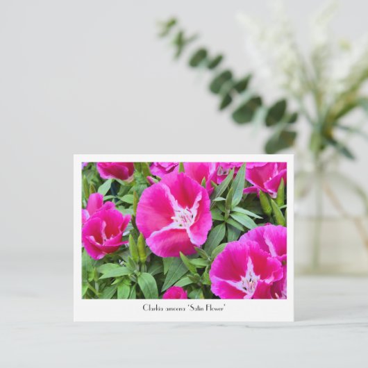 Vloeibaar Briefkaart voor de slacht of voor de str (Staand voorkant)