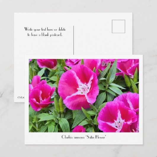 Vloeibaar Briefkaart voor de slacht of voor de str (Voorkant / Achterkant)