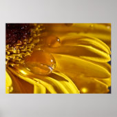 Vloeibaar goud poster (Voorkant)