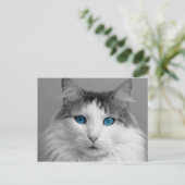 Vloeibaar grijs en wit blauw-geoogte kat briefkaart (Staand voorkant)