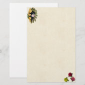 Vloeibaar papier (Voorkant / Achterkant)