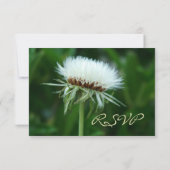  vloeibaar wit plant zaadkop RSVP-kaart RSVP Kaartje (Achterkant)