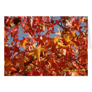 Vloeibare amberbladeren