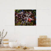 Vloeibare Amberbladeren in de herfst Poster (Keuken)