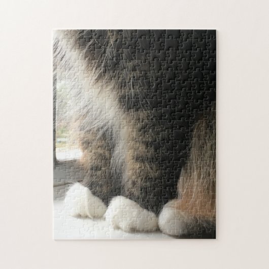 Vloeibare kattenpoten legpuzzel (Verticaal)