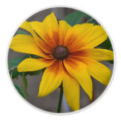 Vloeibare keramische knop (Voorkant)