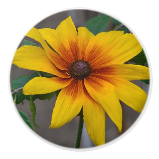 Vloeibare keramische knop (Voorkant)