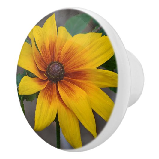 Vloeibare keramische knop (Rechts)