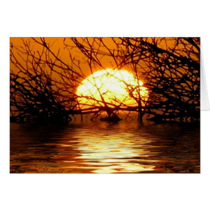 Vloeibare soonsetkaart