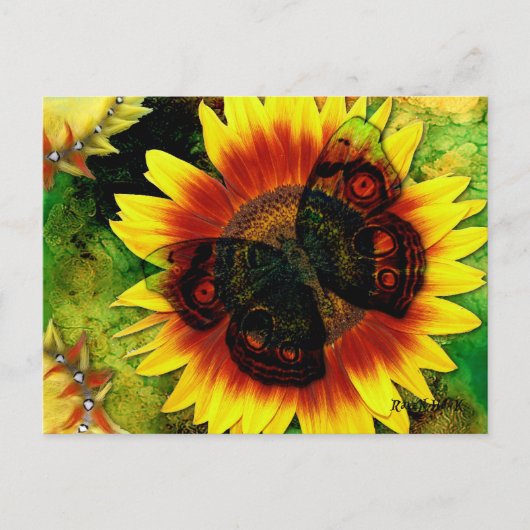 Vloeibare vlinder briefkaart (Voorkant)