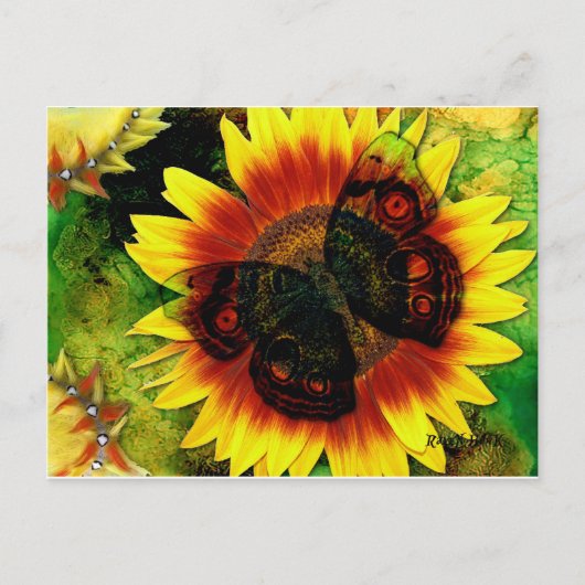 Vloeibare vlinder briefkaart (Voorkant)