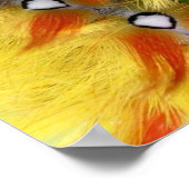 Vloeibare vlinder poster (Hoek)