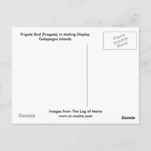 Vloeibare vogel (Fragata) in galapagos met parings Briefkaart (Achterkant)