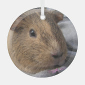 Vloeiend, Agouti Guinea Pig. en Roze Bloem Glas Ornament (Voorkant)
