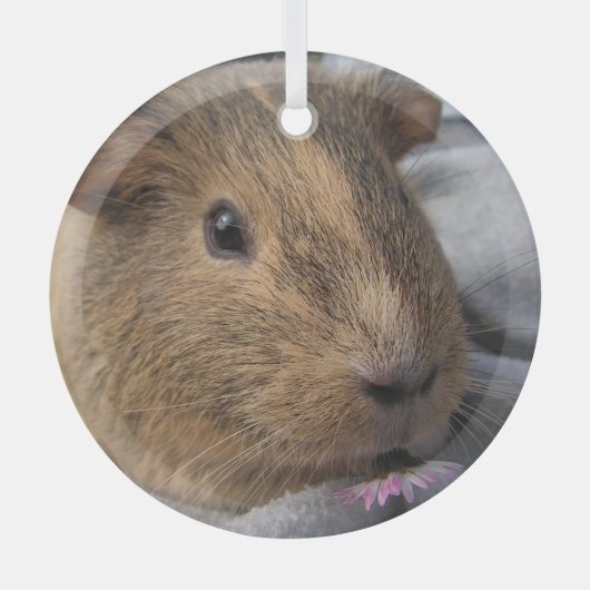 Vloeiend, Agouti Guinea Pig. en Roze Bloem Glas Ornament (Voorkant)