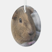Vloeiend, Agouti Guinea Pig. en Roze Bloem Glas Ornament (Voorkant links)