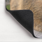 Vloeiend, Agouti Guinea Pig. en Roze Bloem Muismat (Hoek)