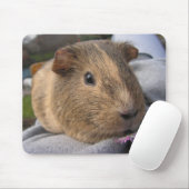 Vloeiend, Agouti Guinea Pig. en Roze Bloem Muismat (Met muis)