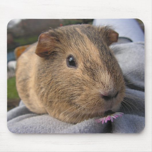 Vloeiend, Agouti Guinea Pig. en Roze Bloem Muismat (Voorkant)