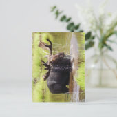 vloeiend briefkaart (Staand voorkant)