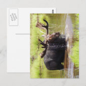 vloeiend briefkaart (Voorkant / Achterkant)