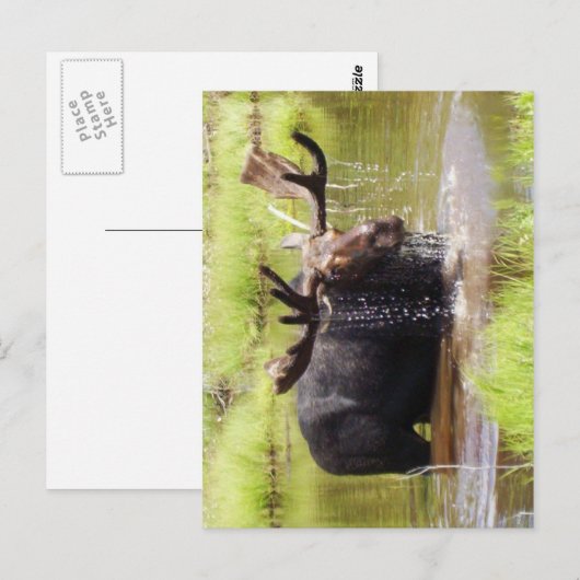 vloeiend briefkaart (Voorkant / Achterkant)