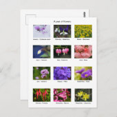 Vloeiend Briefkaart (Voorkant / Achterkant)