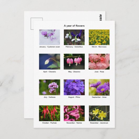 Vloeiend Briefkaart (Voorkant / Achterkant)