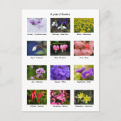 Vloeiend Briefkaart (Voorkant)