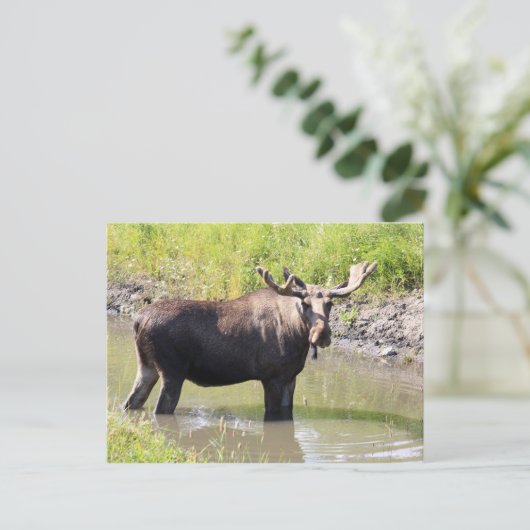 vloeiend briefkaart (Staand voorkant)