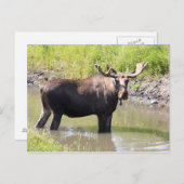 vloeiend briefkaart (Voorkant / Achterkant)