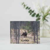 vloeiend briefkaart (Staand voorkant)