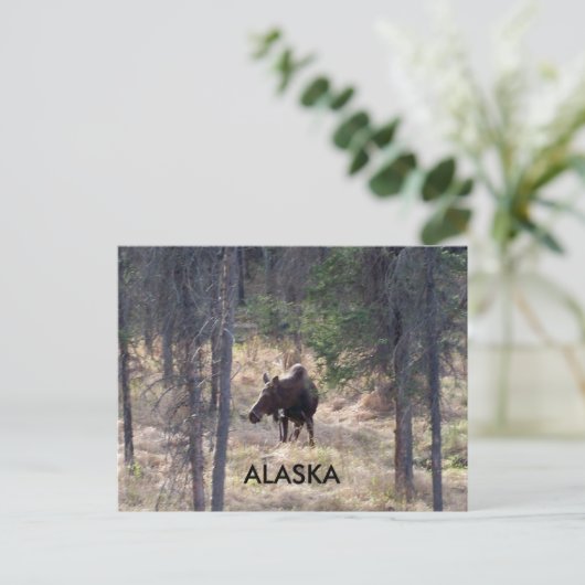 vloeiend briefkaart (Staand voorkant)