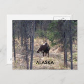 vloeiend briefkaart (Voorkant / Achterkant)