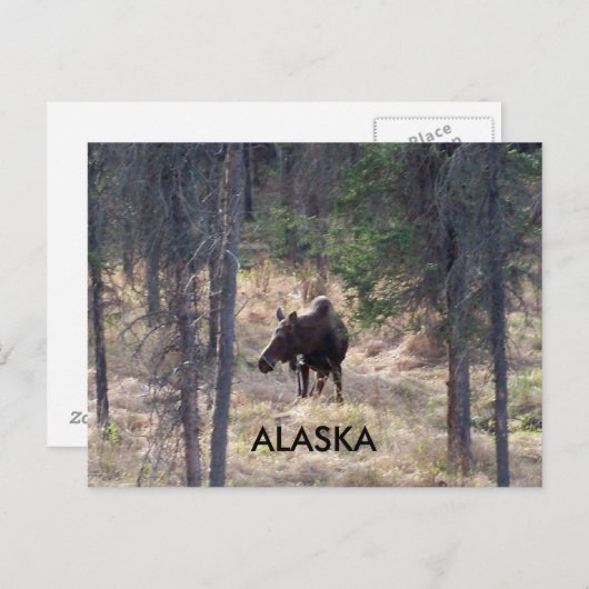 vloeiend briefkaart (Voorkant / Achterkant)