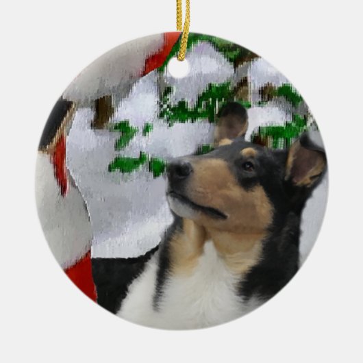 Vloeiend Collie Ornament met kerstcadeaus (Voorkant)