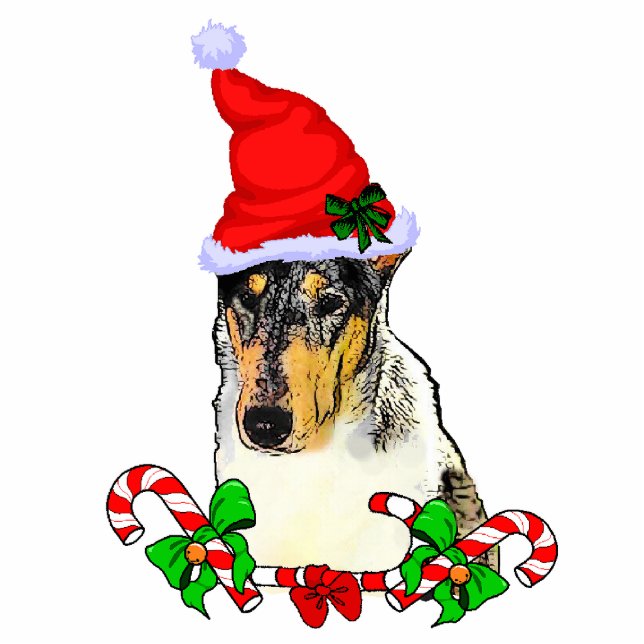 Vloeiend Collie Ornament met kerstcadeaus Fotobeeldje Ornament (Voorkant)