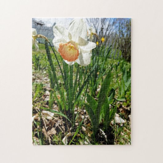 Vloeiend Creatief patroonpuzzel Legpuzzel (Verticaal)