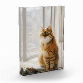 Vloeiend gemberkat in het venster fotoblokken (Links)