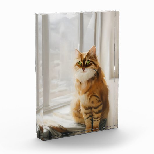 Vloeiend gemberkat in het venster fotoblokken (Links)