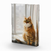 Vloeiend gemberkat in het venster fotoblokken (Rechts)